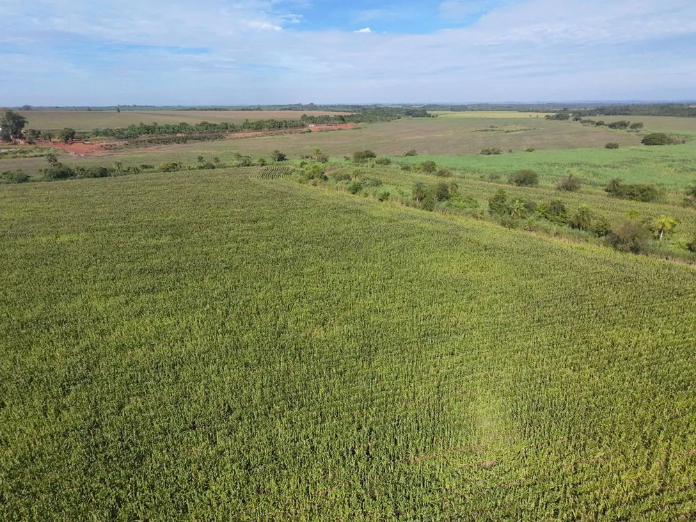 Terreno, 24 hectares - Foto 4