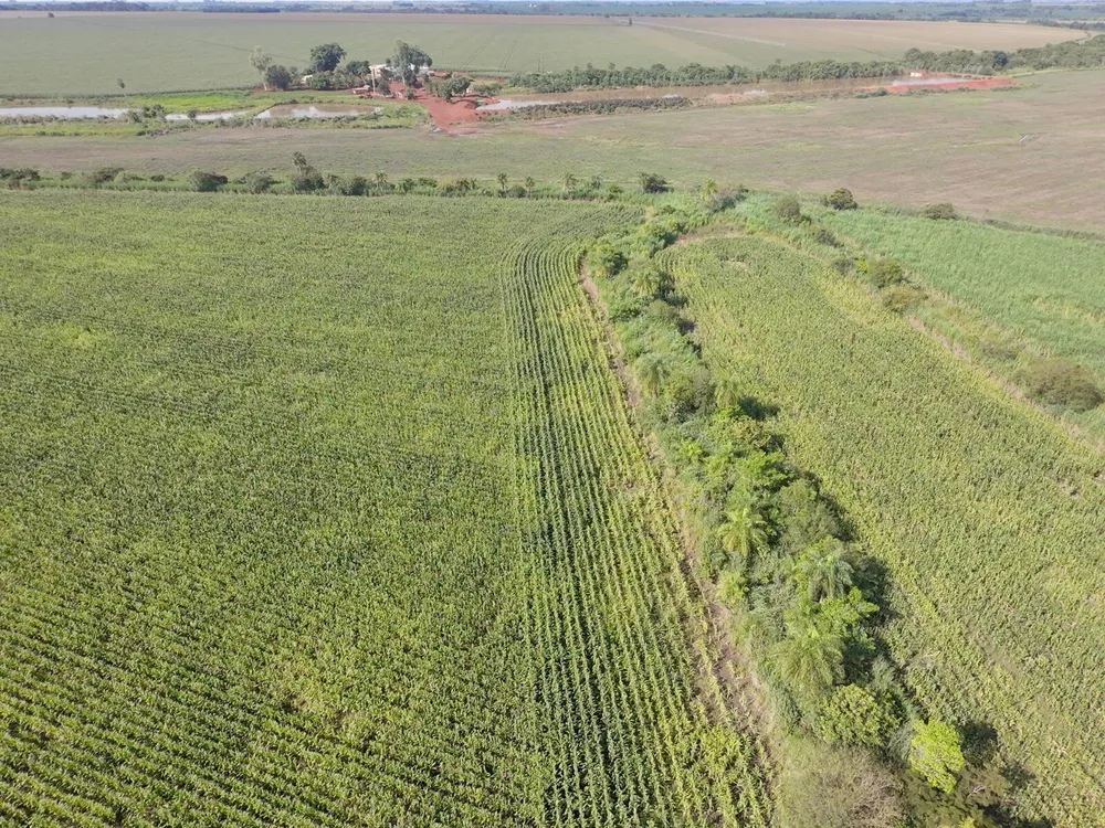 Terreno, 24 hectares - Foto 1
