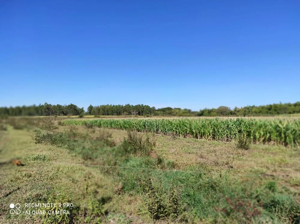Terreno, 48 m² - Foto 5