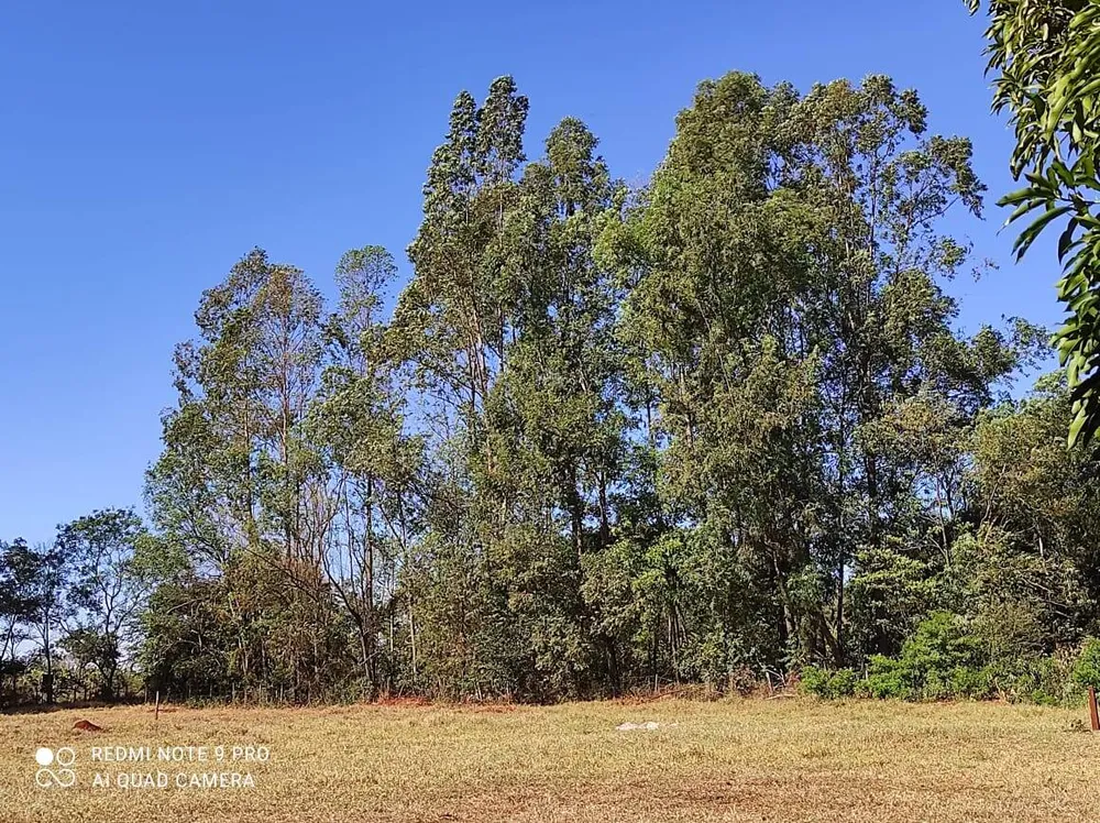 Terreno, 48 m² - Foto 1