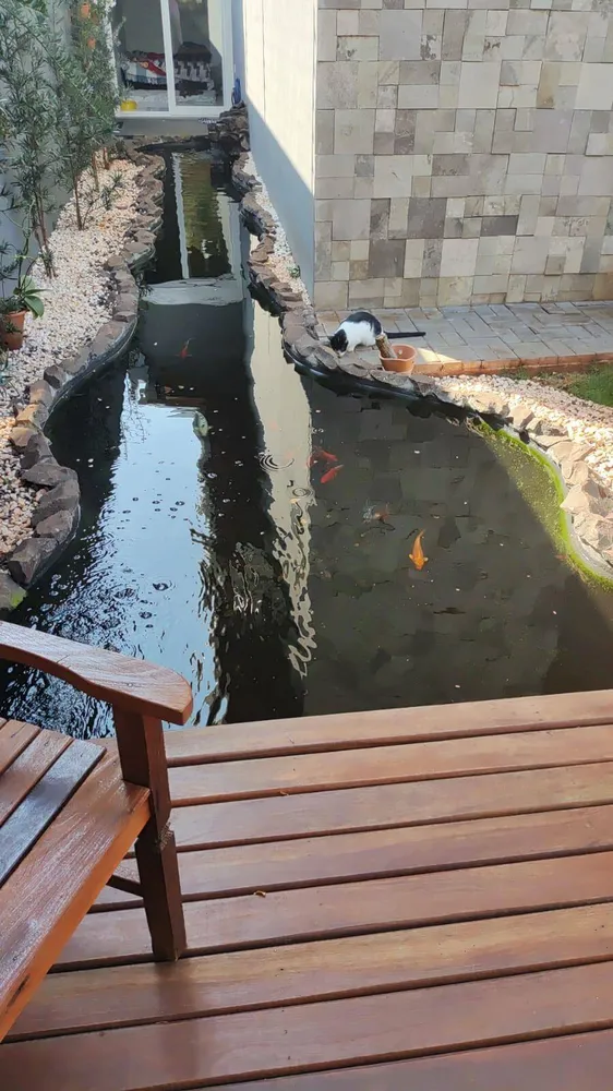 Casa, 3 quartos, 300 m² - Foto 2