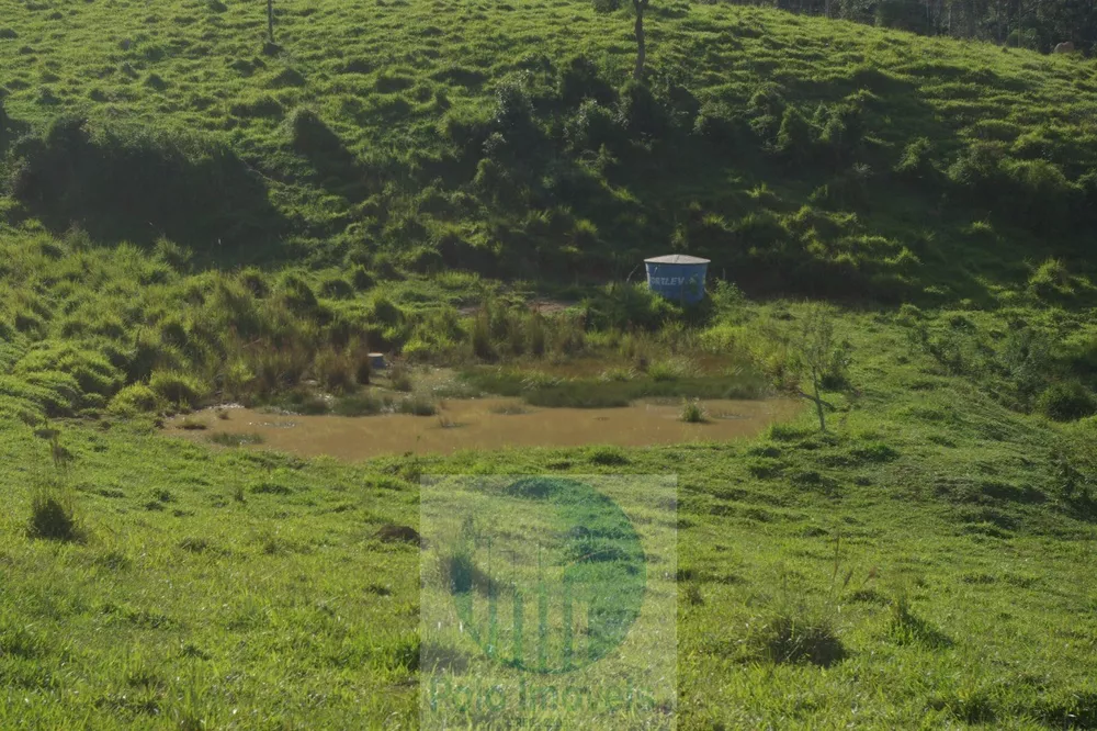 Sítio, 1 quarto, 10 m² - Foto 24