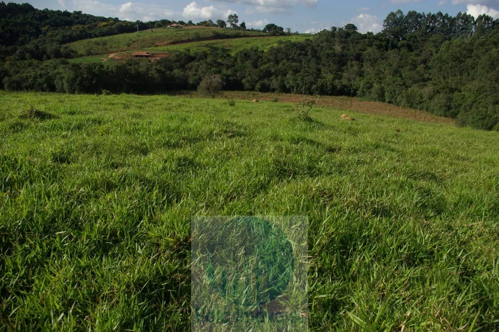 Sítio, 1 quarto, 10 m² - Foto 18