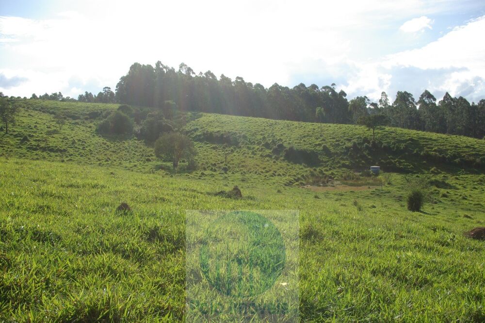 Sítio, 1 quarto, 10 m² - Foto 7