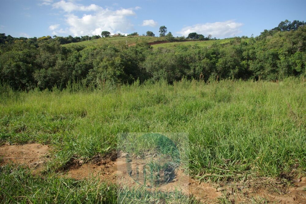 Sítio, 1 quarto, 10 m² - Foto 3