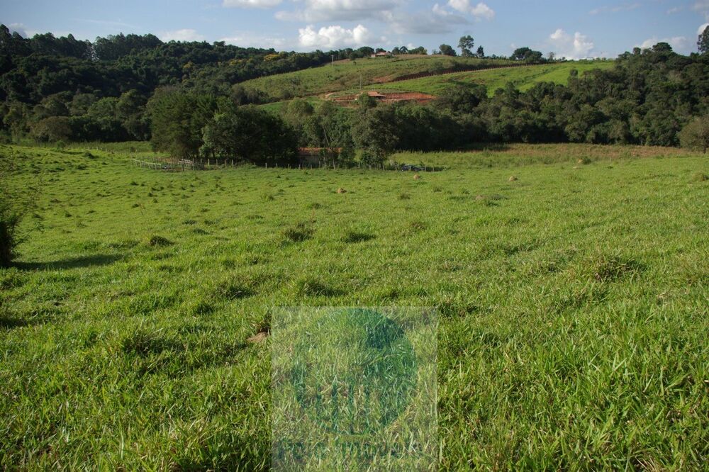 Sítio, 1 quarto, 10 m² - Foto 8