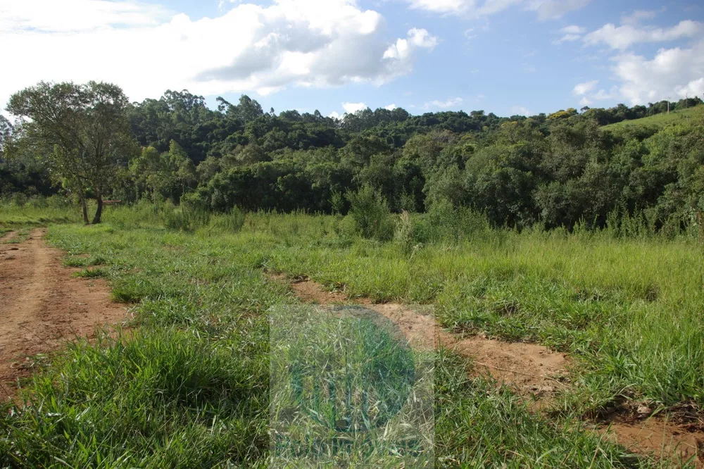 Sítio, 1 quarto, 10 m² - Foto 8