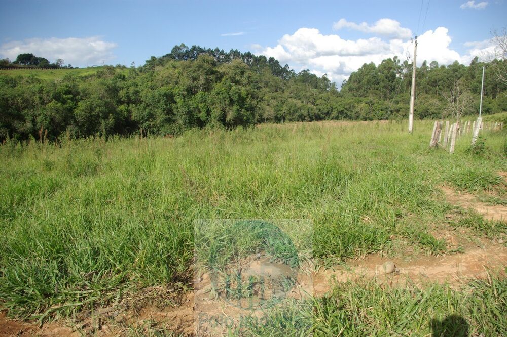 Sítio, 1 quarto, 10 m² - Foto 4