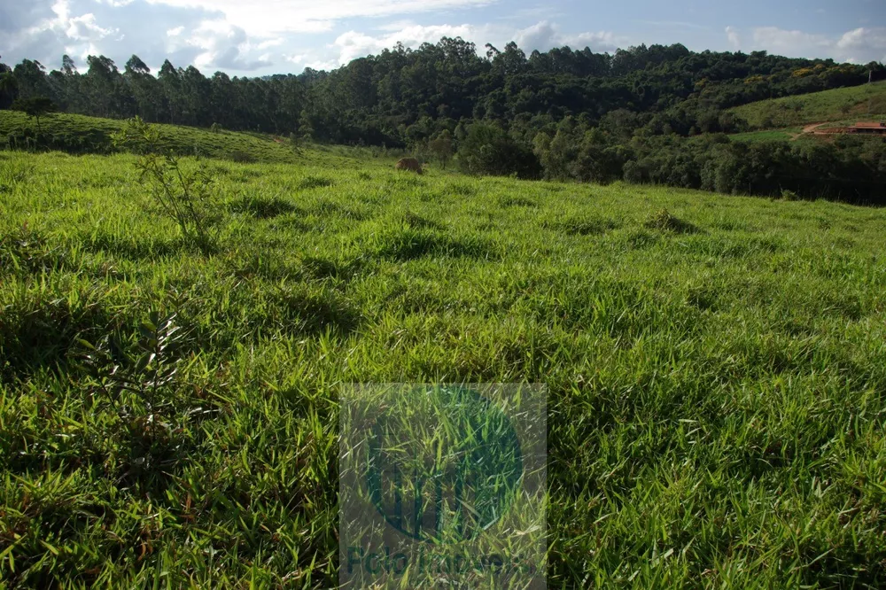 Sítio, 1 quarto, 10 m² - Foto 19