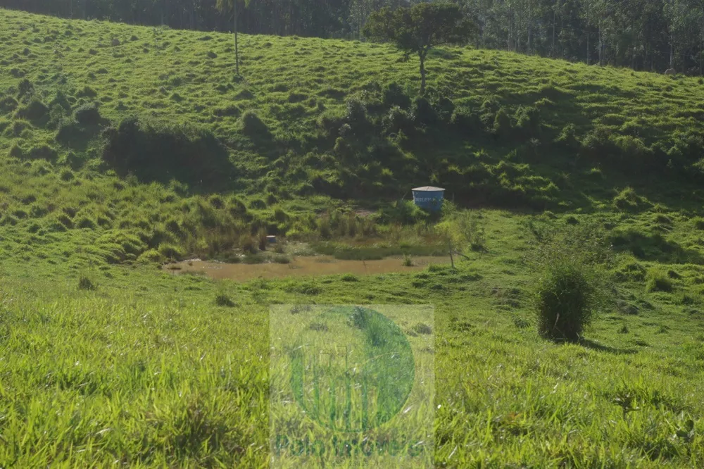 Sítio, 1 quarto, 10 m² - Foto 21