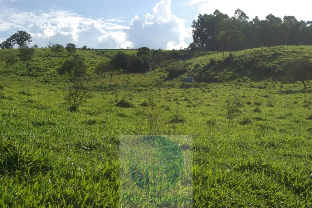 Sítio, 1 quarto, 10 m² - Foto 12