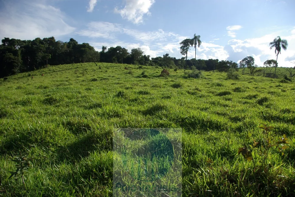 Sítio, 1 quarto, 10 m² - Foto 13