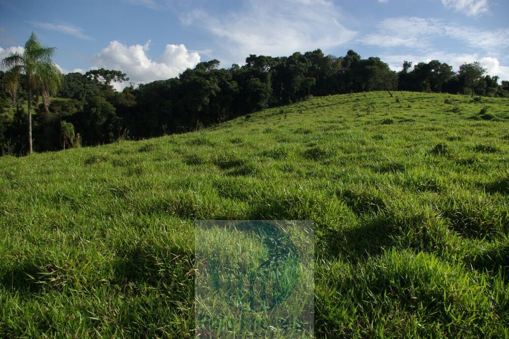 Sítio, 1 quarto, 10 m² - Foto 5