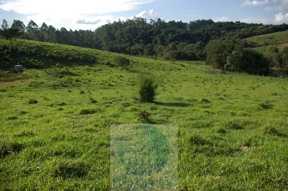 Sítio, 1 quarto, 10 m² - Foto 26