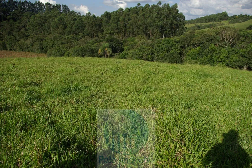 Sítio, 1 quarto, 10 m² - Foto 17