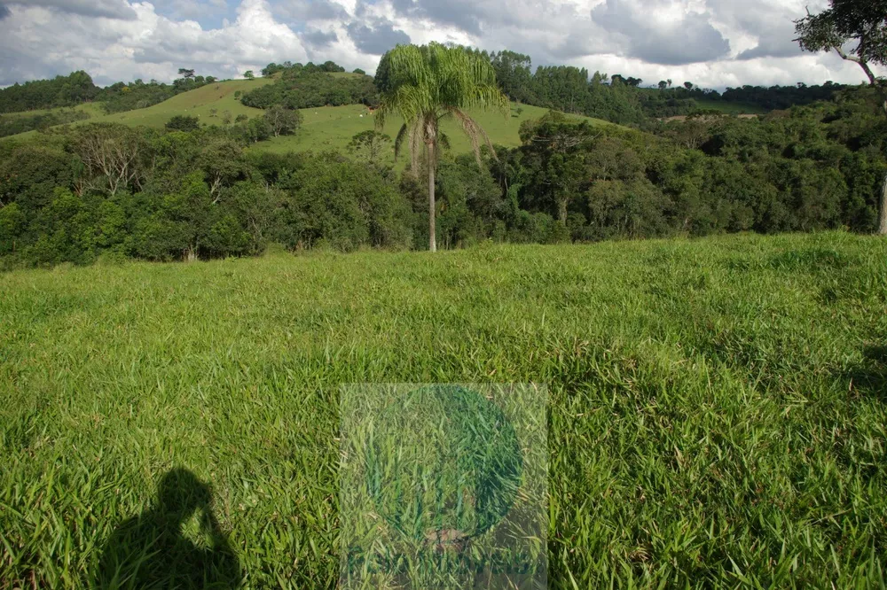 Sítio, 1 quarto, 10 m² - Foto 16