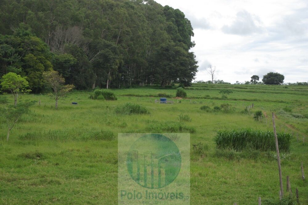 Fazenda à venda com 3 quartos, 59m² - Foto 4