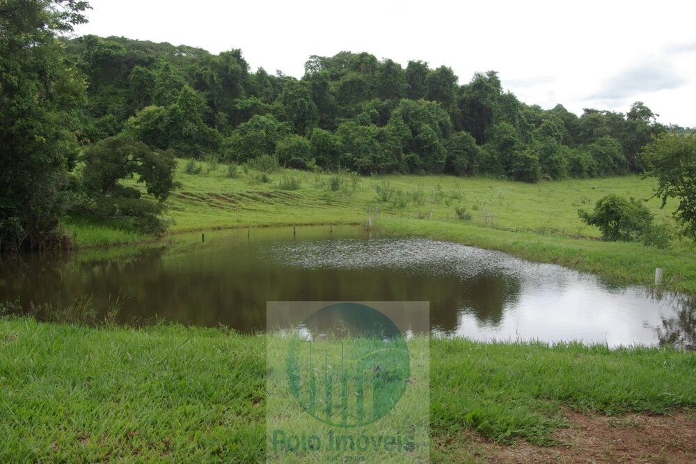Fazenda à venda com 3 quartos, 59m² - Foto 3
