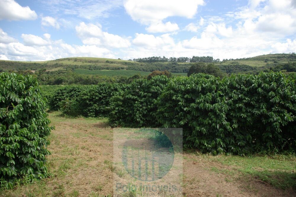 Fazenda à venda com 2 quartos, 58m² - Foto 4