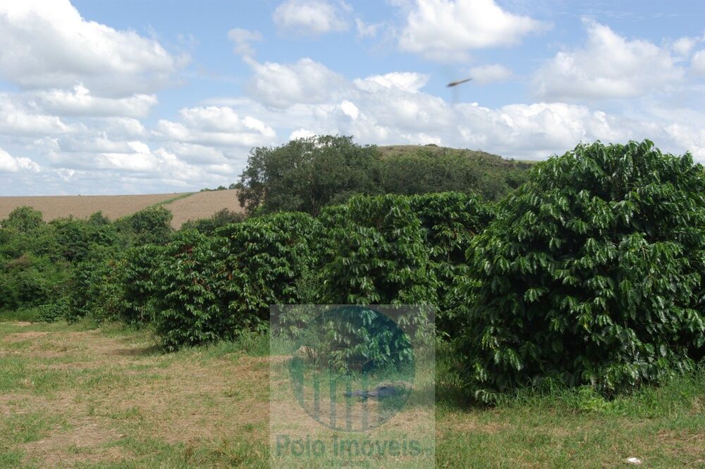 Fazenda à venda com 2 quartos, 58m² - Foto 2