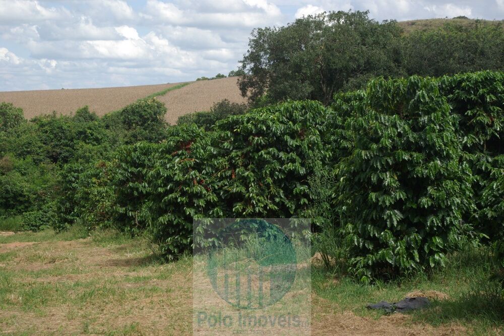 Fazenda à venda com 2 quartos, 58m² - Foto 3