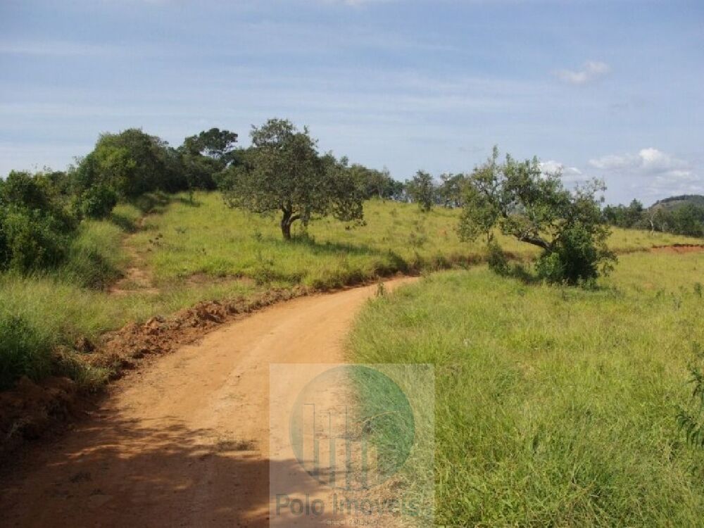 Sítio à venda com 3 quartos, 302500m² - Foto 3