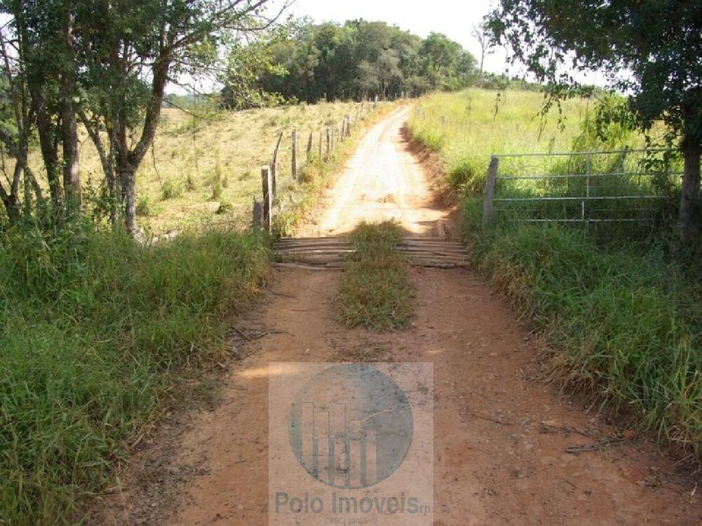 Sítio à venda com 3 quartos, 302500m² - Foto 4