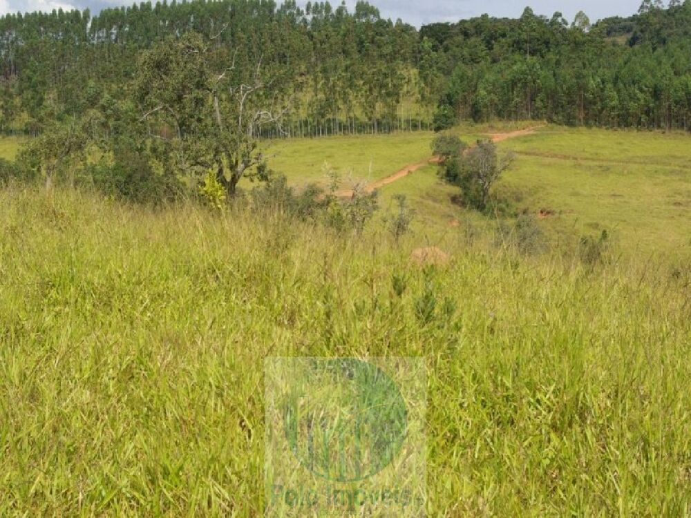 Sítio à venda com 3 quartos, 302500m² - Foto 1