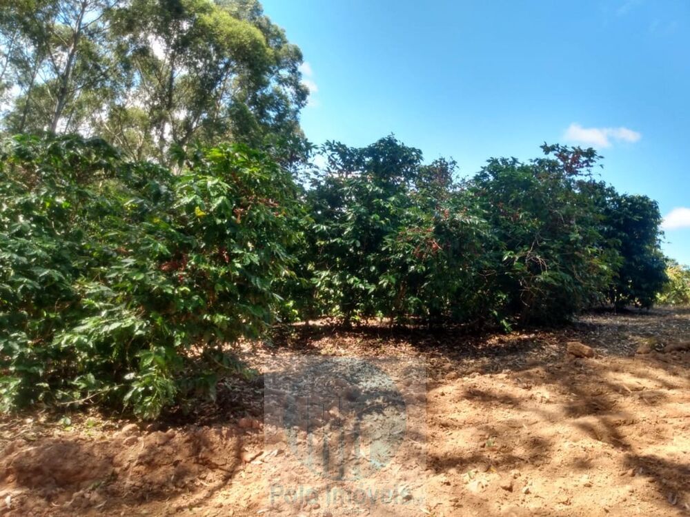 Sítio à venda, 4m² - Foto 3