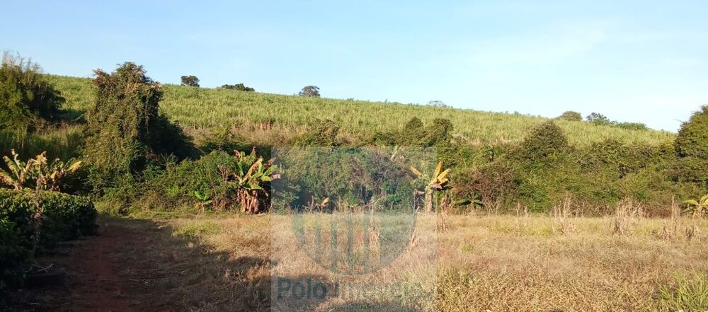 Chácara, 2 quartos, 10000 m² - Foto 2