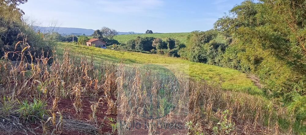 Chácara, 2 quartos, 10000 m² - Foto 4