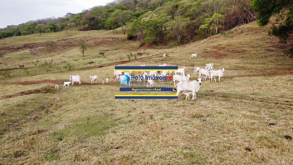 Fazenda, 181 m² - Foto 4