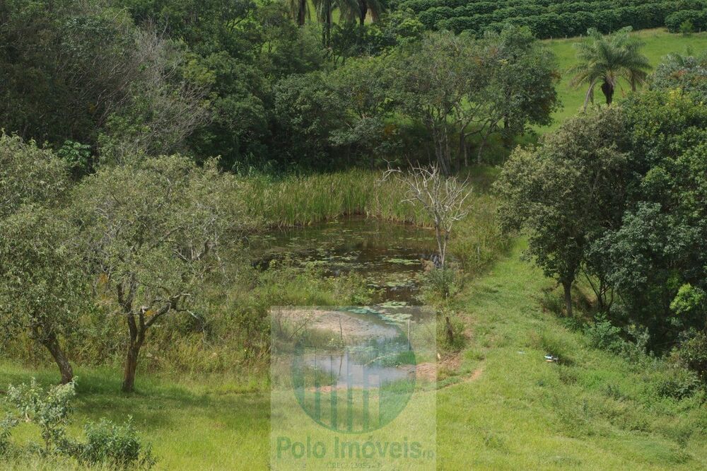 Sítio, 2 quartos, 5 m² - Foto 3