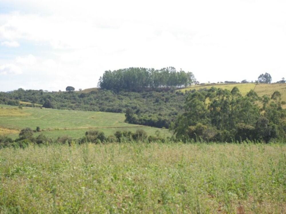 Sítio à venda, 435600m² - Foto 3