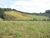 Sítio, 44 hectares - Foto 4