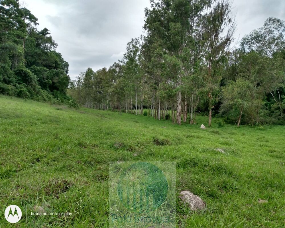 Sítio à venda, 217900m² - Foto 4