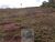 Sítio, 240000 m² - Foto 2