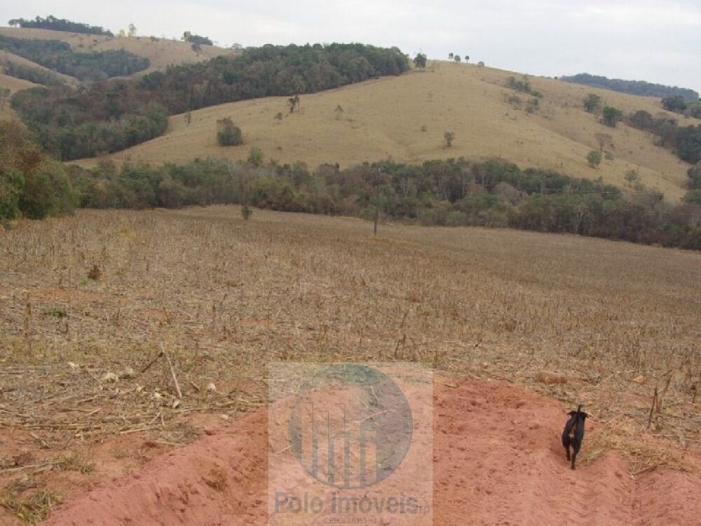 Sítio, 10 hectares - Foto 3