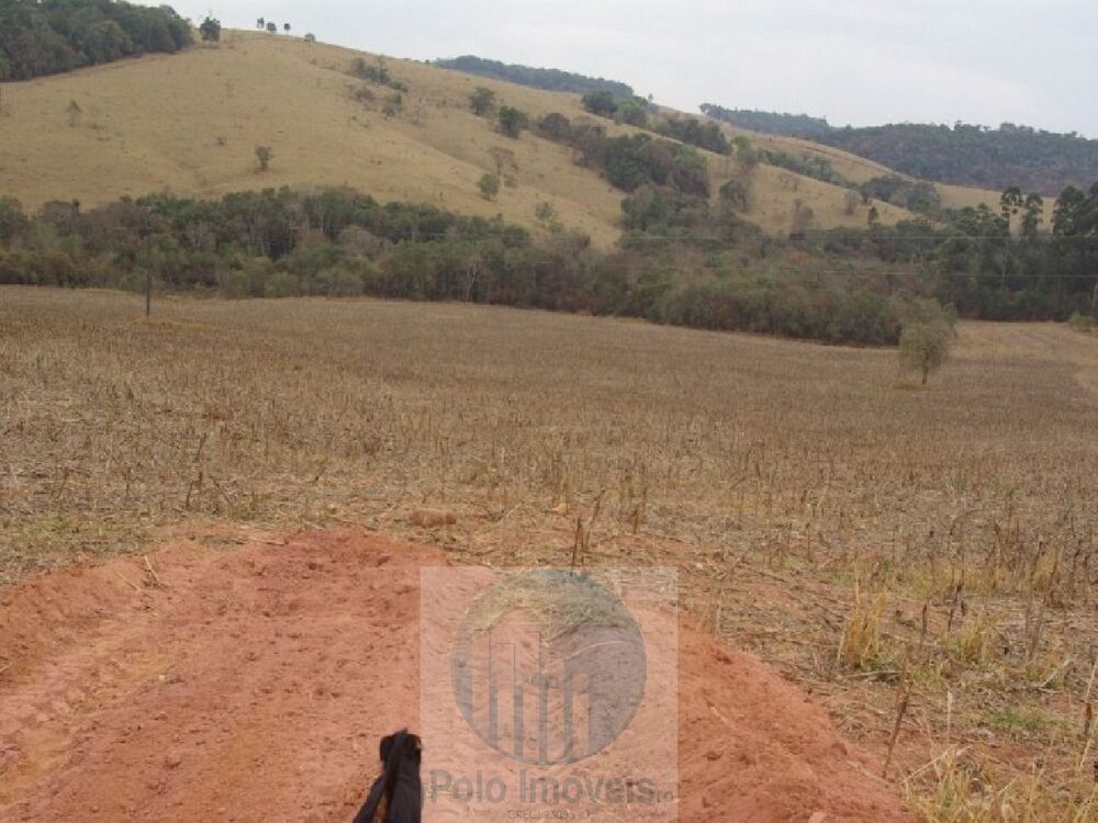 Sítio, 10 hectares - Foto 2