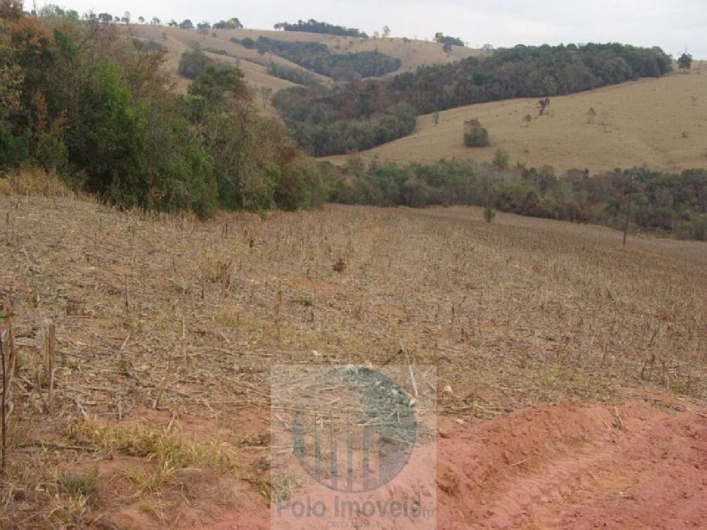 Sítio, 10 hectares - Foto 4