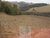 Sítio, 10 hectares - Foto 4