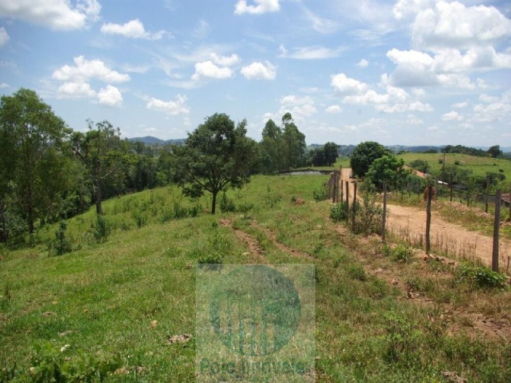 Fazenda à venda com 4 quartos, 1694000m² - Foto 5