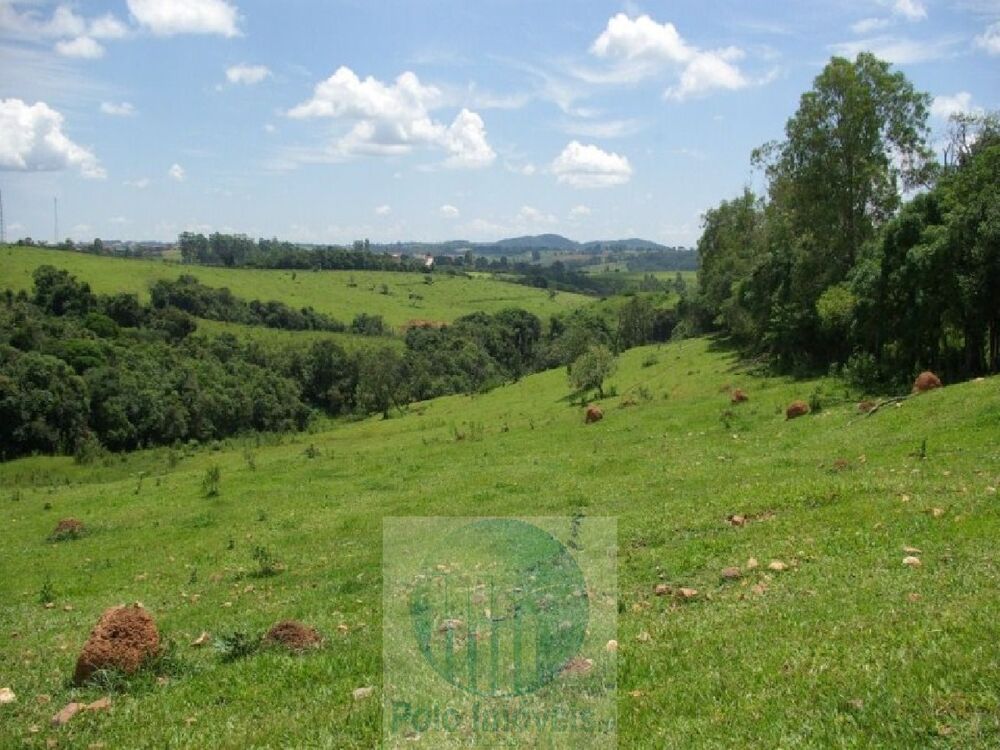 Fazenda à venda com 4 quartos, 1694000m² - Foto 2