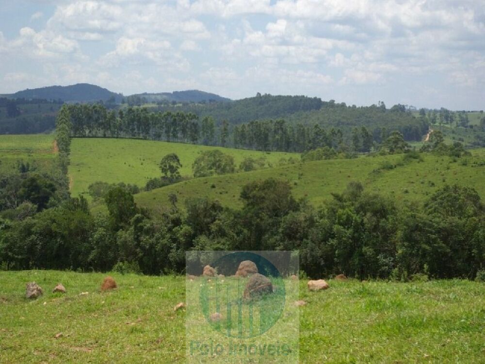 Fazenda à venda com 4 quartos, 1694000m² - Foto 10