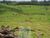 Fazenda-Sítio-Chácara, 169 hectares - Foto 11