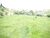 Fazenda-Sítio-Chácara, 169 hectares - Foto 6