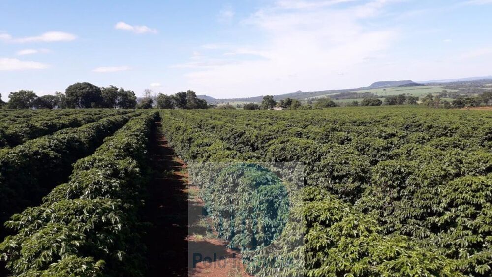 Fazenda à venda com 3 quartos, 11m² - Foto 1