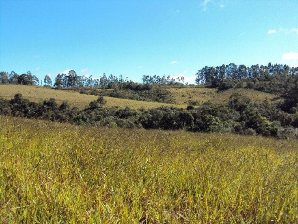 Sítio à venda com 2 quartos, 266200m² - Foto 1