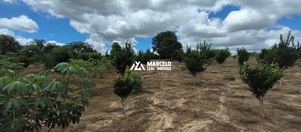 Sítio, 3 quartos, 3 hectares - Foto 2