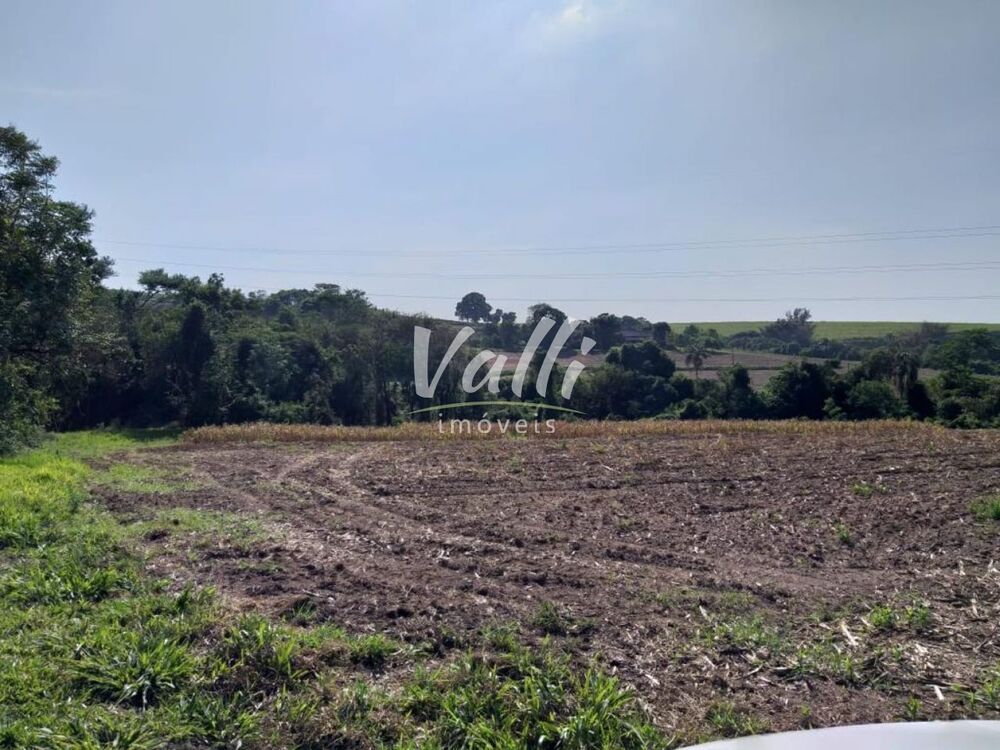 Indústria, 64000 m² - Foto 3